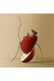 Hugo Boss Bottled EDP 100ML Erkek Parfüm - 3