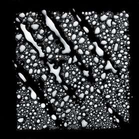 LOréal Professionnel Vitamino Color Renk Koruyucu Şampuan - Boyalı ve Parlak Saçlar İçin UV Filtreli Bakım 500 Ml - 5