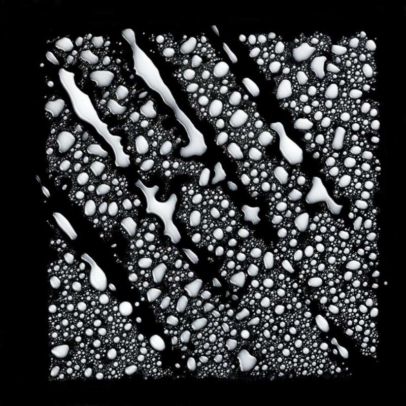 LOréal Professionnel Vitamino Color Renk Koruyucu Şampuan - Boyalı ve Parlak Saçlar İçin UV Filtreli Bakım 500 Ml - 5